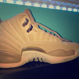 Jordan retro 12